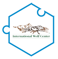 International Wolf Center