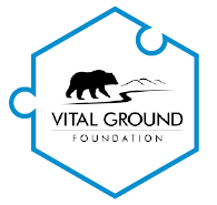 Vital Ground Foundation