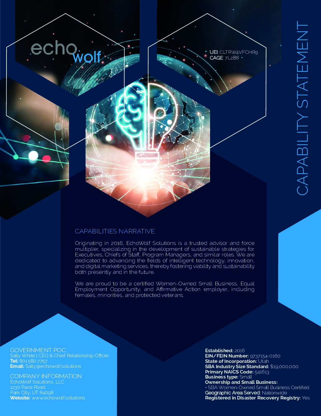 Capability Statement - Echo Wolf 2024 12 12 - EchoWolf Solutions
